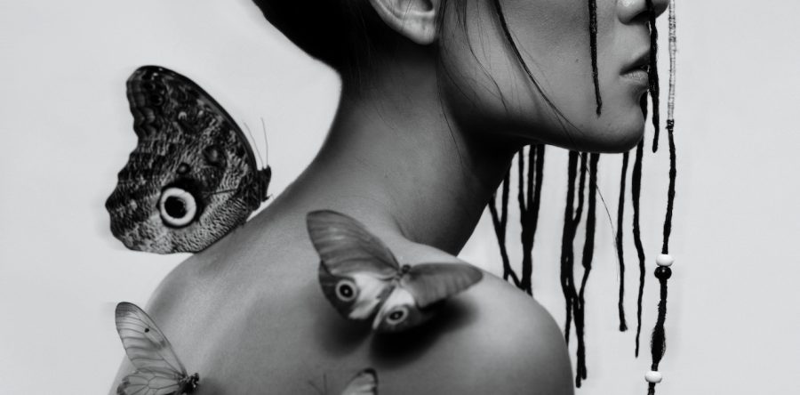 Tim Scott-Wright | James Nicklin & Teri Lowe | Metamorphosis | 07