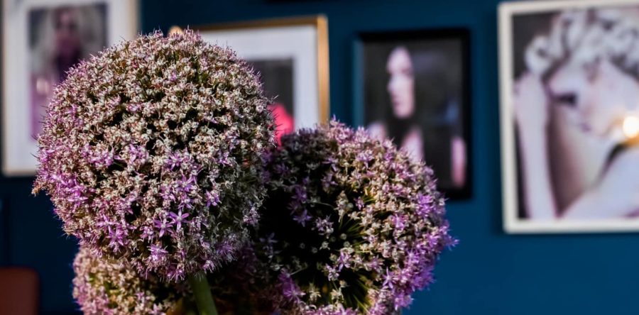 Tim Scott-Wright | The new salon interior 06